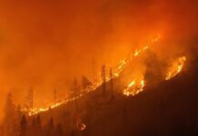 Lesachtal-Waldbrand: Fahrlässiger Umgang mit Rauchwaren als wahrscheinliche Ursache