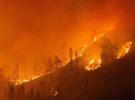 Laufender Waldbrandeinsatz im Lesachtal