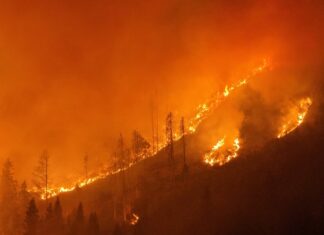 Laufender Waldbrandeinsatz im Lesachtal