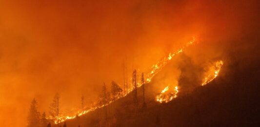 Laufender Waldbrandeinsatz im Lesachtal