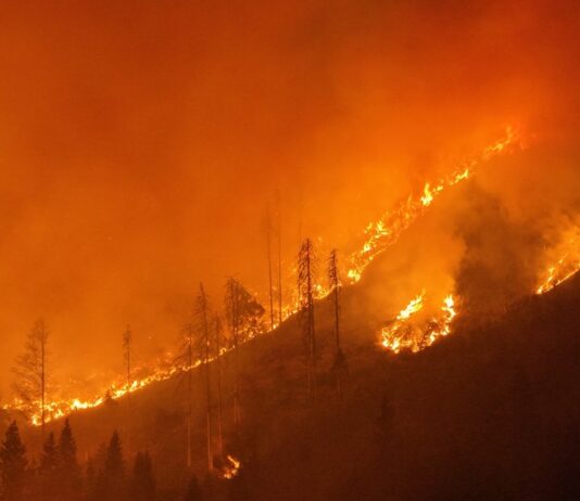 Laufender Waldbrandeinsatz im Lesachtal