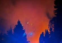 Sirenenalarm im Gail- und Lesachtal: Beginnender Waldbrand nach Blitzschlag