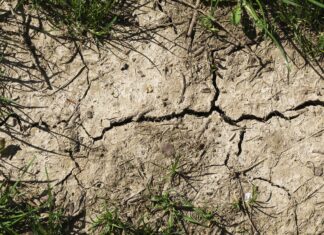 Trockenheit in Kärnten: Erste Gemeinden rufen zum Wassersparen auf