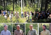 Wald und Wild in Einklang bringen: Waldbegehung und fachlicher Austausch im Fokus