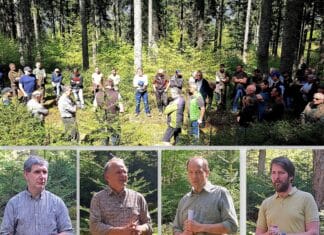 Wald und Wild in Einklang bringen: Waldbegehung und fachlicher Austausch im Fokus