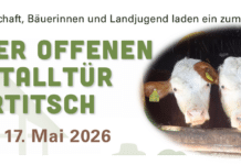 Tag der offenen Laufstalltür in Kartitsch – Landwirtschaft hautnah erleben