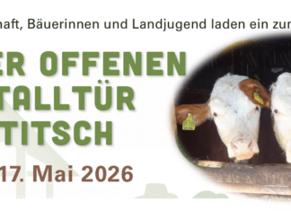 Tag der offenen Laufstalltür in Kartitsch – Landwirtschaft hautnah erleben