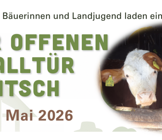 Tag der offenen Laufstalltür in Kartitsch – Landwirtschaft hautnah erleben