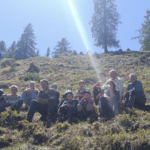 Almerhaltungsmaßnahmen auf der Steineckenalm bei Liesing