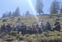 Almerhaltungsmaßnahmen auf der Steineckenalm bei Liesing