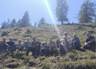 Almerhaltungsmaßnahmen auf der Steineckenalm bei Liesing