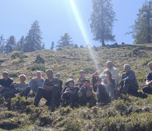 Almerhaltungsmaßnahmen auf der Steineckenalm bei Liesing