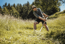 Naturpark Dobratsch startet Sommerprogramm mit vielfältigen Angeboten
