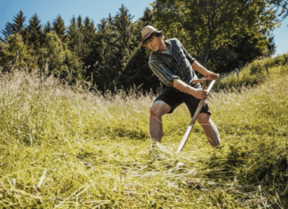 Naturpark Dobratsch startet Sommerprogramm mit vielfältigen Angeboten