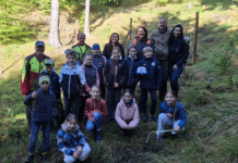 Miniranger im Einsatz: Volksschulen Egg und Weißbriach engagieren sich für den Wald von morgen