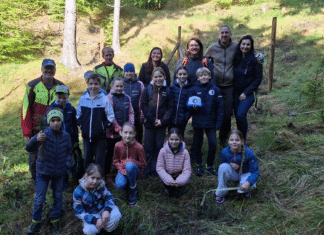 Miniranger im Einsatz: Volksschulen Egg und Weißbriach engagieren sich für den Wald von morgen