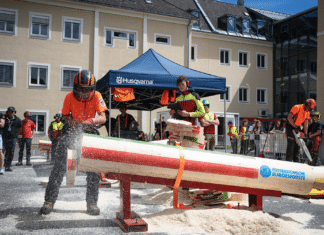 Johanna Zojer holt mehrfach Gold bei der Europameisterschaft der Waldarbeit – starke Bilanz für Litzlhofer Mädels!