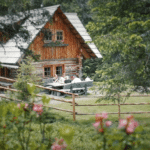 Die Alm hat wieder Saison: Natur, Ruhe und Erholung in rund 530 Almhütten