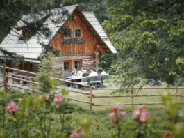 Die Alm hat wieder Saison: Natur, Ruhe und Erholung in rund 530 Almhütten