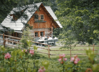 Die Alm hat wieder Saison: Natur, Ruhe und Erholung in rund 530 Almhütten
