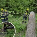 Lagerfeuer löst Einsatz im Gösseringgraben aus