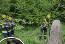 Lagerfeuer löst Einsatz im Gösseringgraben aus