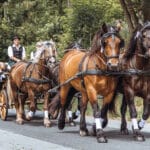 Hochzeitskutsche für magische Momente