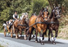 Hochzeitskutsche für magische Momente