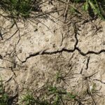LK Kärnten: Jahrhundert-Trockenheit bedroht Kärntens Landwirtschaft