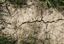 LK Kärnten: Jahrhundert-Trockenheit bedroht Kärntens Landwirtschaft