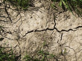 LK Kärnten: Jahrhundert-Trockenheit bedroht Kärntens Landwirtschaft