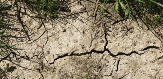 LK Kärnten: Jahrhundert-Trockenheit bedroht Kärntens Landwirtschaft