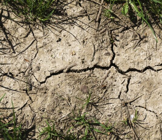 LK Kärnten: Jahrhundert-Trockenheit bedroht Kärntens Landwirtschaft