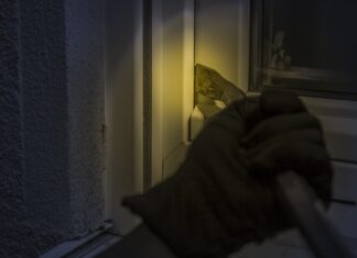 Fürnitz: Einbruch auf Firmengelände – Diebesgut sichergestellt