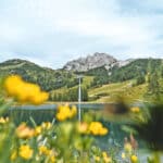 Mit der neuen Gartnerkofelbahn ins Sommerparadies