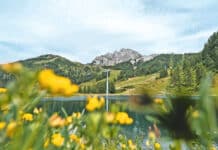 Mit der neuen Gartnerkofelbahn ins Sommerparadies