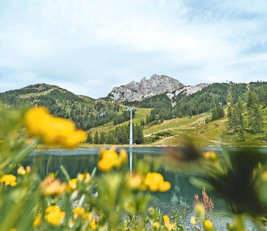 Mit der neuen Gartnerkofelbahn ins Sommerparadies