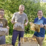 Drei Gailtaler starten als Jungimker