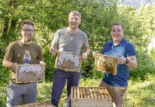 Drei Gailtaler starten als Jungimker