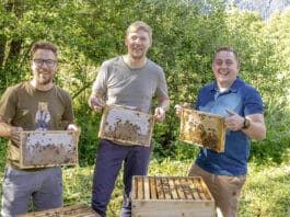 Drei Gailtaler starten als Jungimker