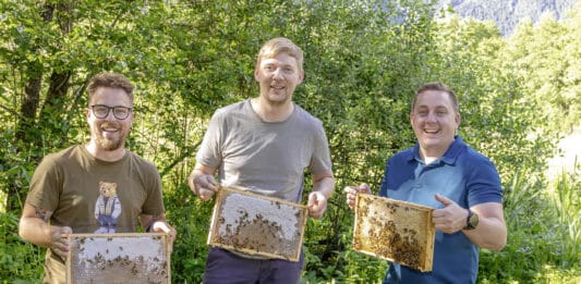 Drei Gailtaler starten als Jungimker