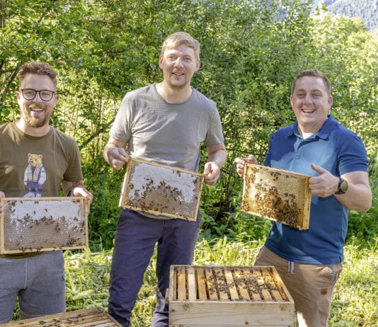Drei Gailtaler starten als Jungimker