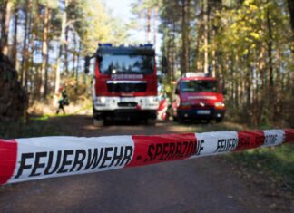 Blitzschlag löste Waldbrand im Radingforst aus