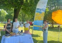 Prävention an Kärntens Seen – Aufklärung statt Risiko im Wasser
