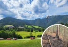 Waldbrand im Gemeindegebiet Nötsch: Vermutlich durch Blitzschlag ausgelöst