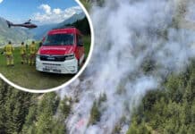 Waldbrand in Osttirol: 170 Feuerwehrleute im Großeinsatz – „Brand aus“ am Abend