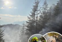 Löscharbeiten nach Waldbrand im Gitschtal werden fortgesetzt