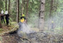Waldbrand nahe Arnoldstein: Glutnester erschweren Löscharbeiten