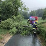 Umgestürzte Bäume sorgen für mehrere Feuerwehreinsätze