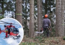 Forstarbeiter (57) zwischen Baumstämmen eingeklemmt – Hubschrauber im Einsatz